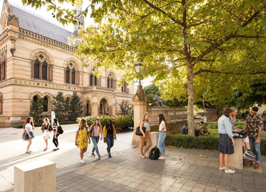 Trường University of Adelaide Việt Nam
